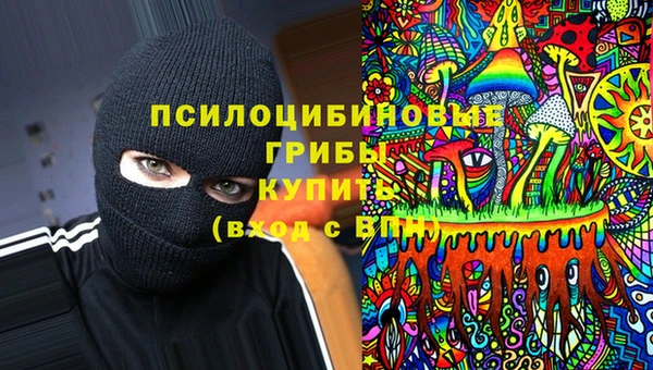 ECSTASY Алексеевка