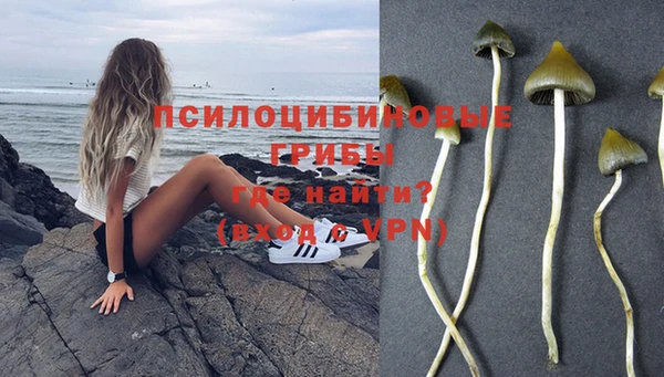 ECSTASY Алексеевка